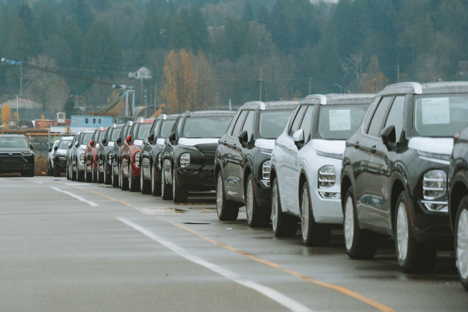 Report Cost vs Pre-Purchase Inspection: Budget Allocation Guide